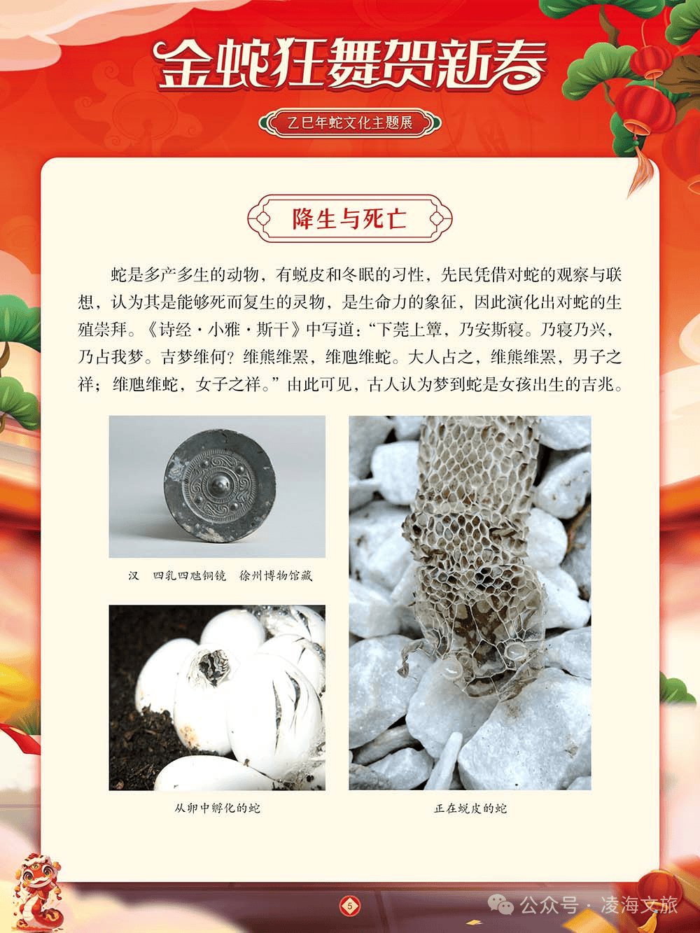 凌海市蛇文化展览：领略蛇文化的多元魅力，探秘蛇文化展览：一场关于蛇的文化之旅
