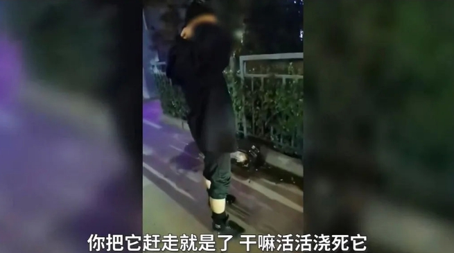 猫咪遭虐：男子的残忍与大众的善良