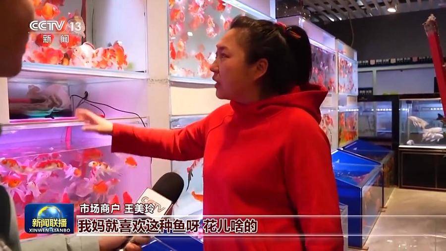 春节将至，百姓怎么过？总台海采告诉你