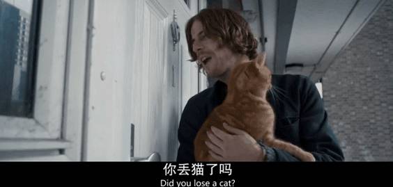 猫咪遭虐：男子的残忍与大众的善良