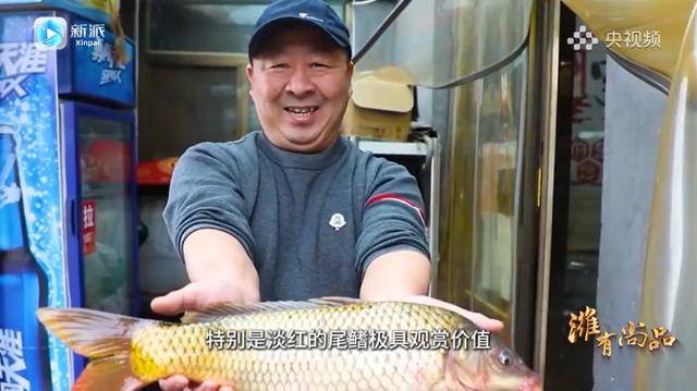 惊！央视频播出潍坊节目，“四孔鲤鱼”成主角，央视频平台聚焦潍坊“四孔鲤鱼”：融媒体节目播出