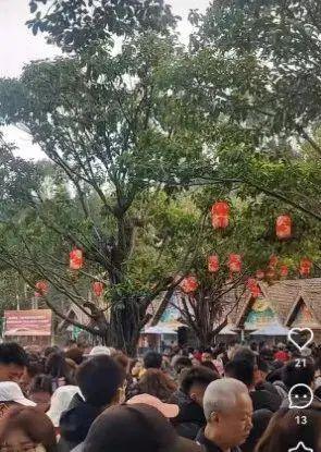 大年初一：各地景区人满为患，部分门票售罄
