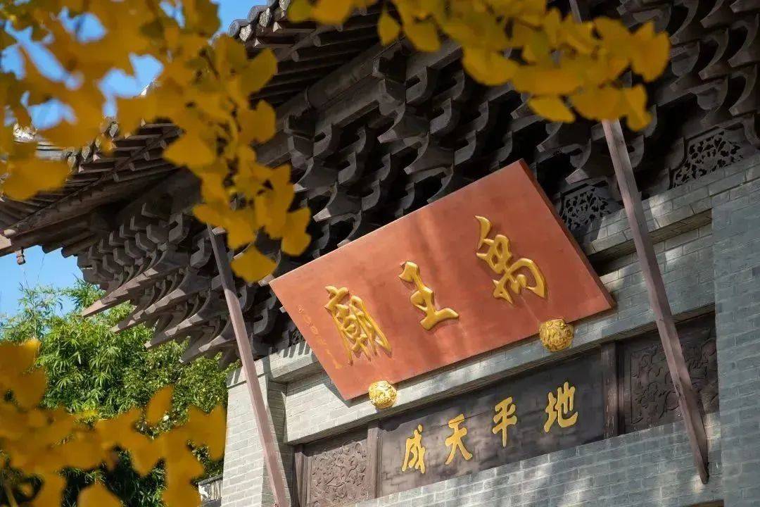 太湖新春：2025春节的多彩活动 苏州太湖：2025春节的别样年味