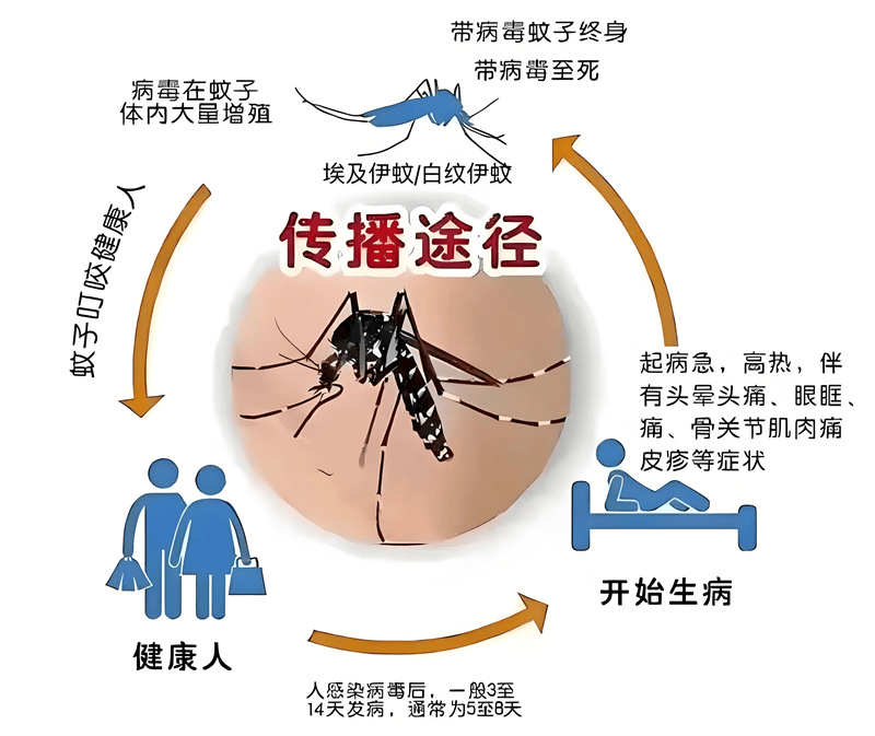 零陵区疾控中心：春节防病指南，春节人流量大，防病攻略看过来