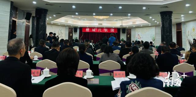 南海两会：共商区域发展大计，南海两会：聚焦发展新征程