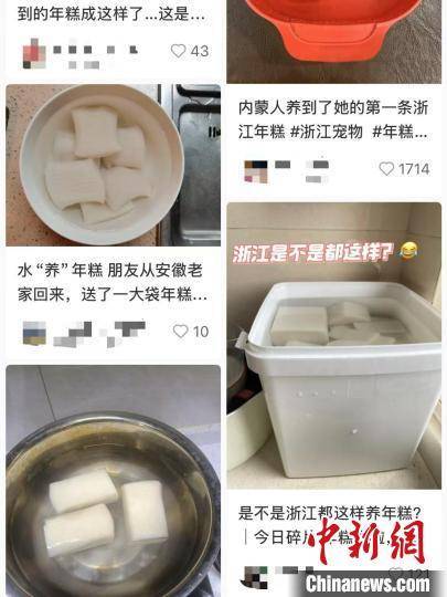 从浙江到香港：传统年糕背后的家乡情怀，年糕：浙江人的特殊“宠物”，香港人的家乡味