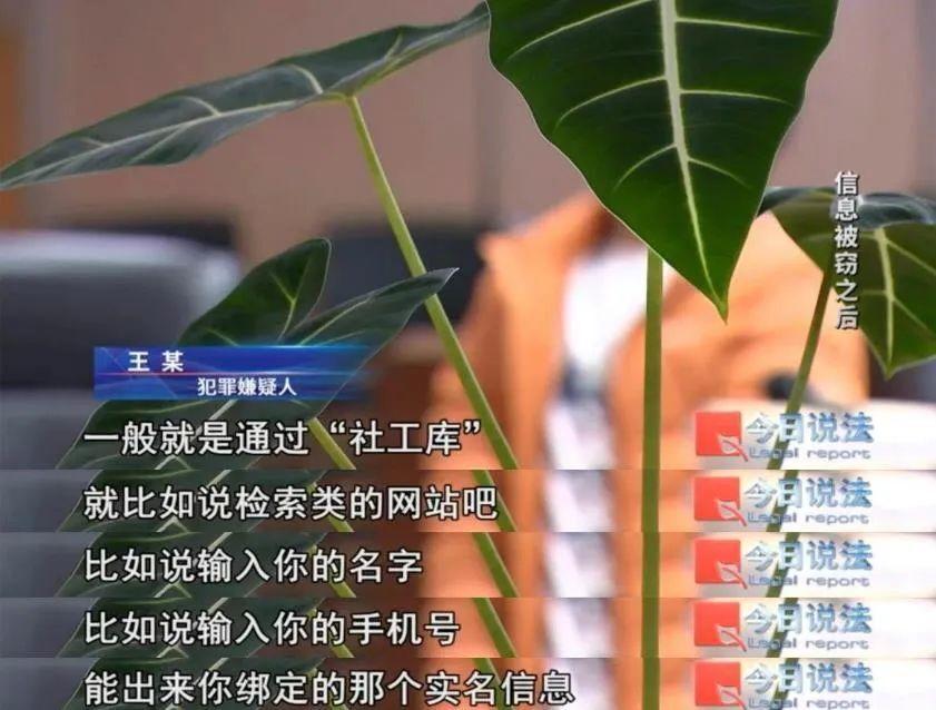 “开盒”事件：2000余网红信息被非法获取背后的黑幕