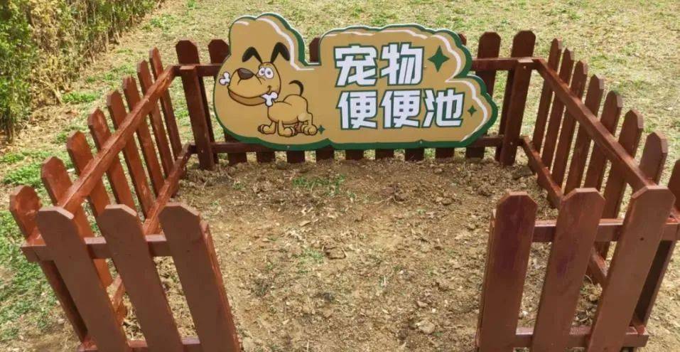 小区“狗公厕”引发冲突，法院判决来了！，家门口绿化带成“狗公厕”，驱狗剂事件的法律裁决