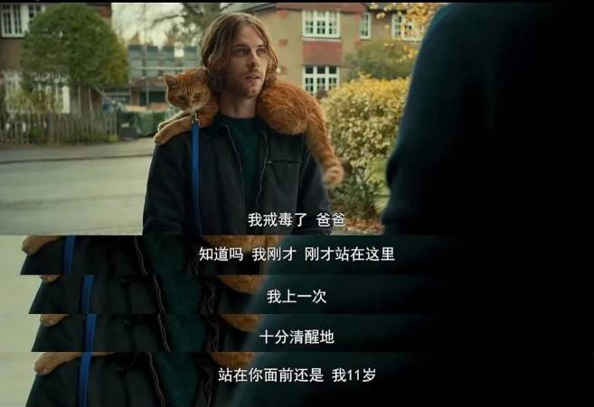 猫咪遭虐：男子的残忍与大众的善良