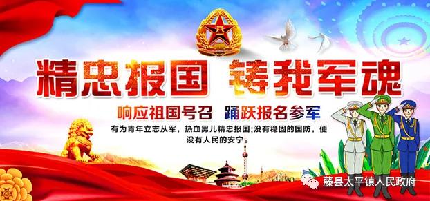 太平镇征兵体检：2025年2月7日上午8：30开始！，太平镇征兵：不同学历适龄青年的参军机会