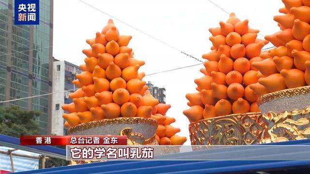 走进香港春节：花市与利东街的新春盛景