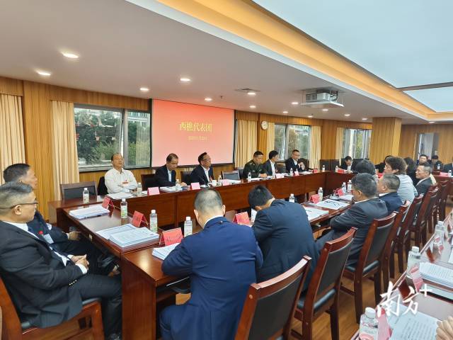 南海两会：共商区域发展大计，南海两会：聚焦发展新征程