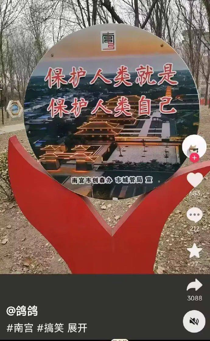 肚腩：身体的特殊“伤口”？，张老师的“算盘”之谜