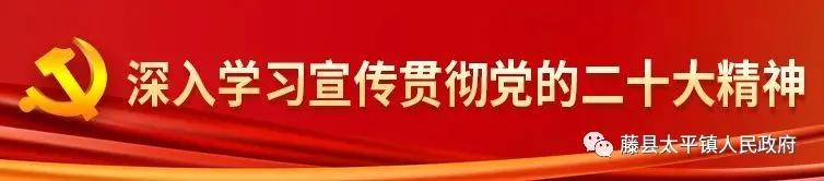 太平镇征兵体检：2025年2月7日上午8：30开始！，太平镇征兵：不同学历适龄青年的参军机会