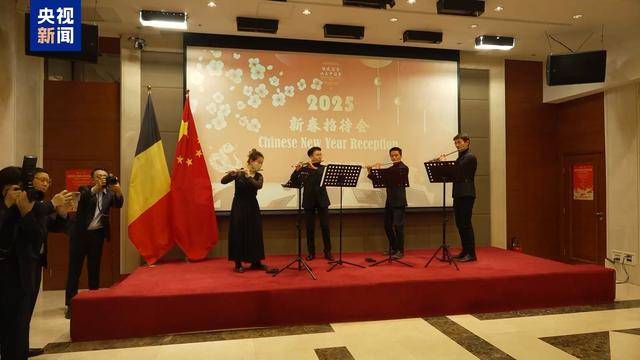 维也纳联合国总部蛇年新春招待会：共贺新春的国际盛宴，蛇年新春：国际舞台上的中国春节庆祝热潮