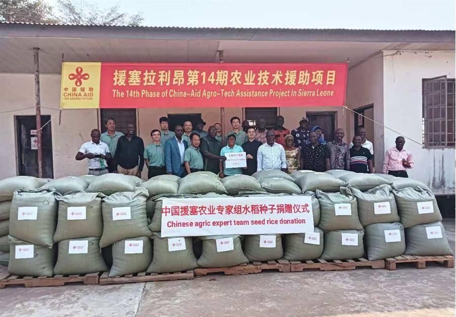 中国援塞拉利昂：水稻种子捐赠背后的深远意义