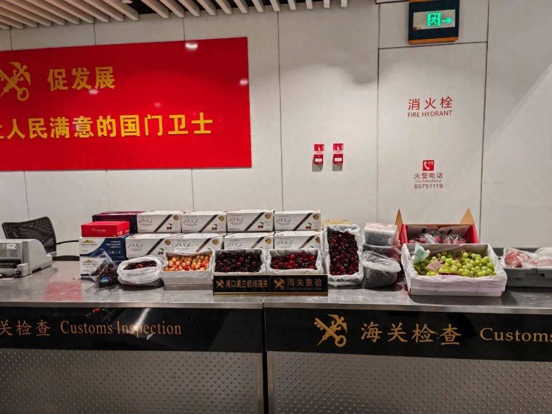 近百千克动植物产品在海口美兰机场海关旅检入境时被查获，海口海关旅检：近百千克违禁动植物产品现形