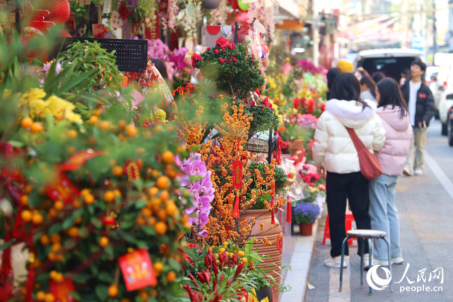 厦门思明花鸟市场：春节将至，人花共欢 春节前夕厦门溪岸路花鸟市场：花卉争艳，年味满满