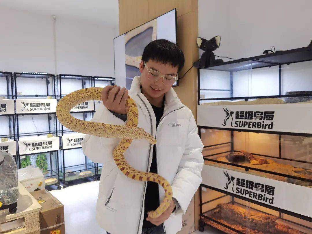 蛇年到，宠物蛇销量猛增，孩子想养蛇怎么办？