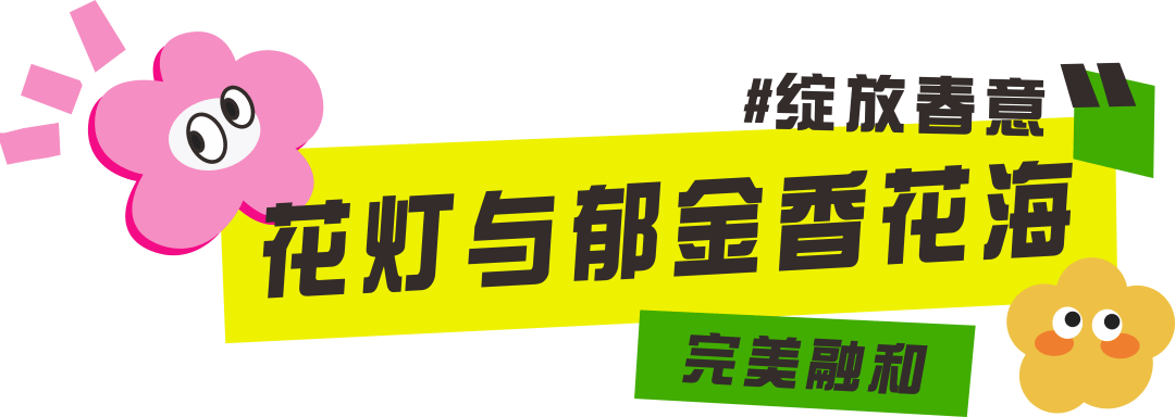 2025桂林訾洲公园郁金香花展：多彩花海与丰富活动，灵蛇送福新春至，桂林訾洲郁金香盛绽