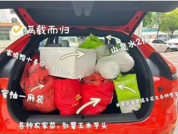 2025春节将至，探寻心中年味“密码”