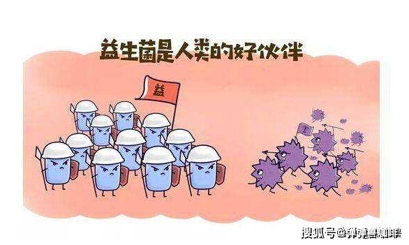 肠道菌群与减肥的秘密关系你了解吗？