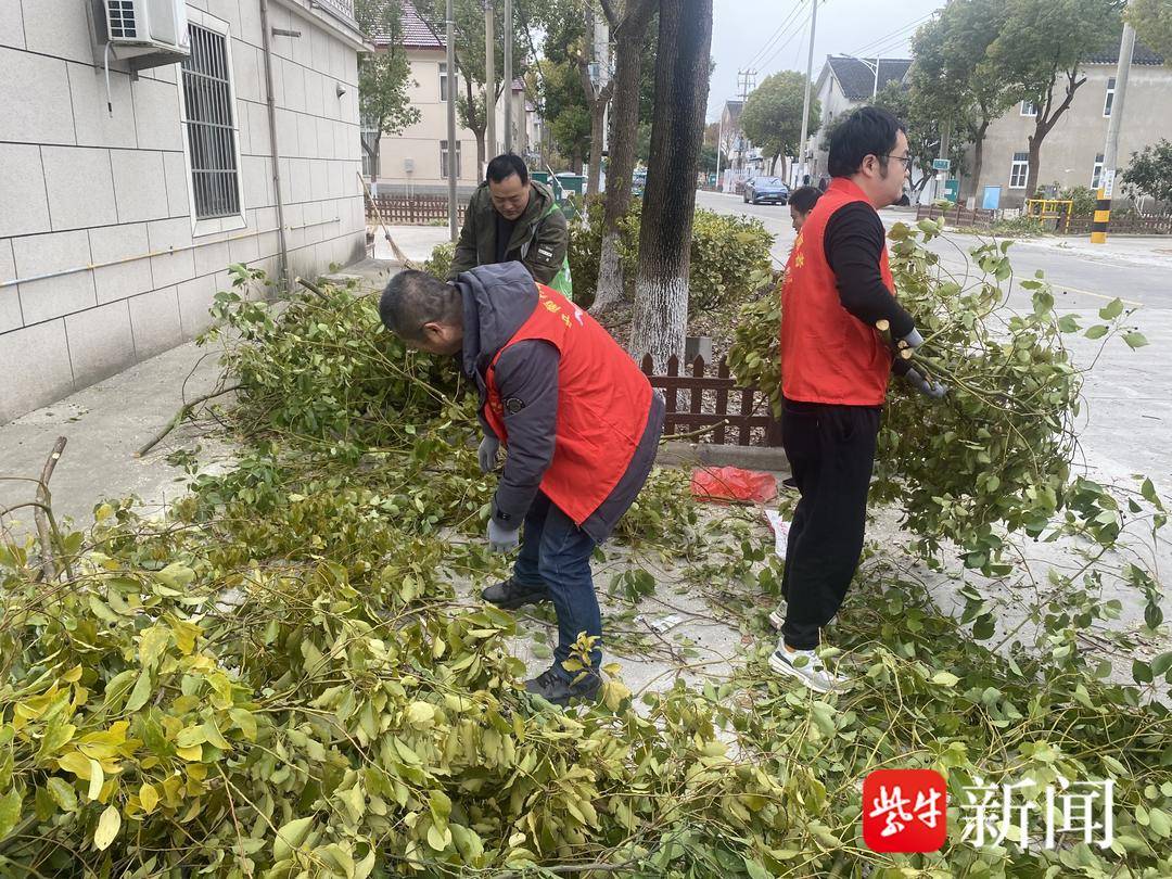 常熟碧溪街道中南村：净美家园迎新春，党员群众齐参与 中南村：清洁行动迎新春，共创美丽新家园