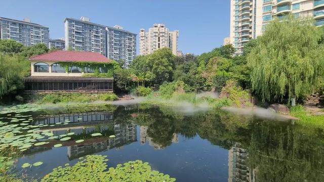 曲阳社区：亲子游玩的宝藏地点，曲阳社区亲子游玩地大搜罗