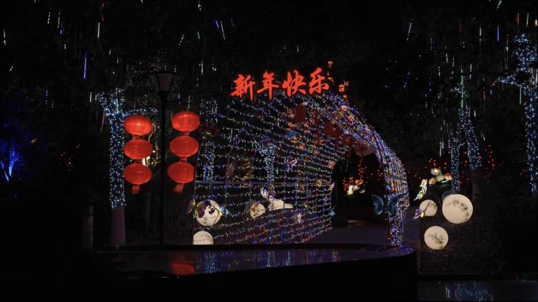 青浦区盈浦街道：灯光秀点亮新春夜，新春佳节，盈浦街道灯光秀演绎梦幻视觉盛宴