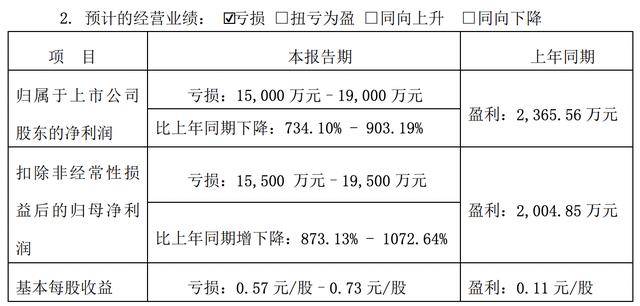 元隆雅图2024年业绩亏损，多种因素交织下的企业现状，元隆雅图：2024年业绩转亏，背后隐藏着什么？
