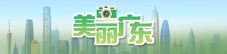 南雄非遗春节巡游：九十九节巨龙的新春之旅
