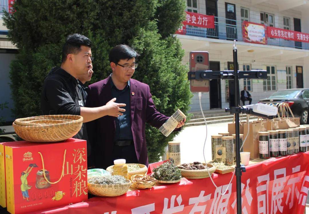 金丝楸花盛绽，洛宁长水镇热闹非凡 赏金丝楸花，游洛宁长水镇