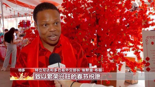 新春佳节：国际友人对中国的美好祝愿