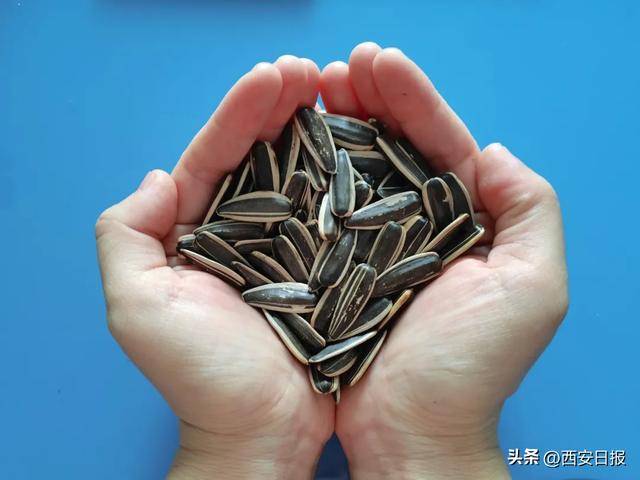 警惕！这些瓜子有毒致癌，春节嗑瓜子需谨慎，健康“嗑瓜子”：春节的正确打开方式