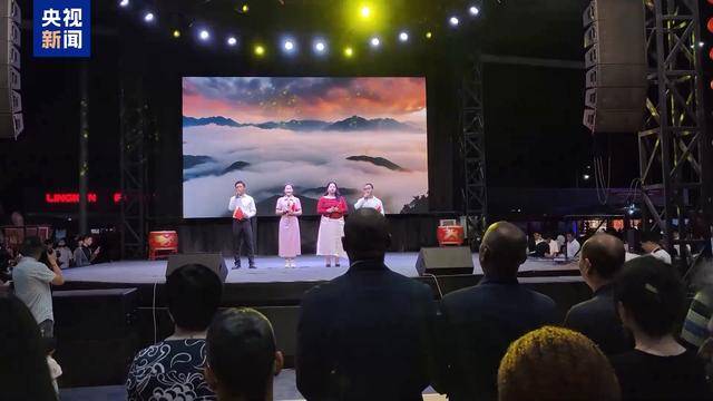 维也纳联合国总部蛇年新春招待会：共贺新春的国际盛宴，蛇年新春：国际舞台上的中国春节庆祝热潮