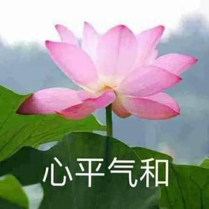 埃文凯尔上春晚，央妈给足面子的背后，埃文凯尔春晚亮相：央妈礼遇背后的阳谋