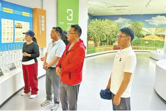 阿里地区基层发展：党建引领多方面成果丰硕 看阿里地区，党建如何成为发展的关键力量