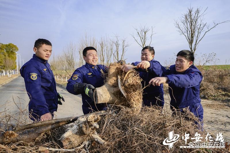 国家消防救援局安徽机动队伍：清理林下可燃物，防范森林火灾，安徽机动队伍清理林下可燃物，助力森林防火与市容改善