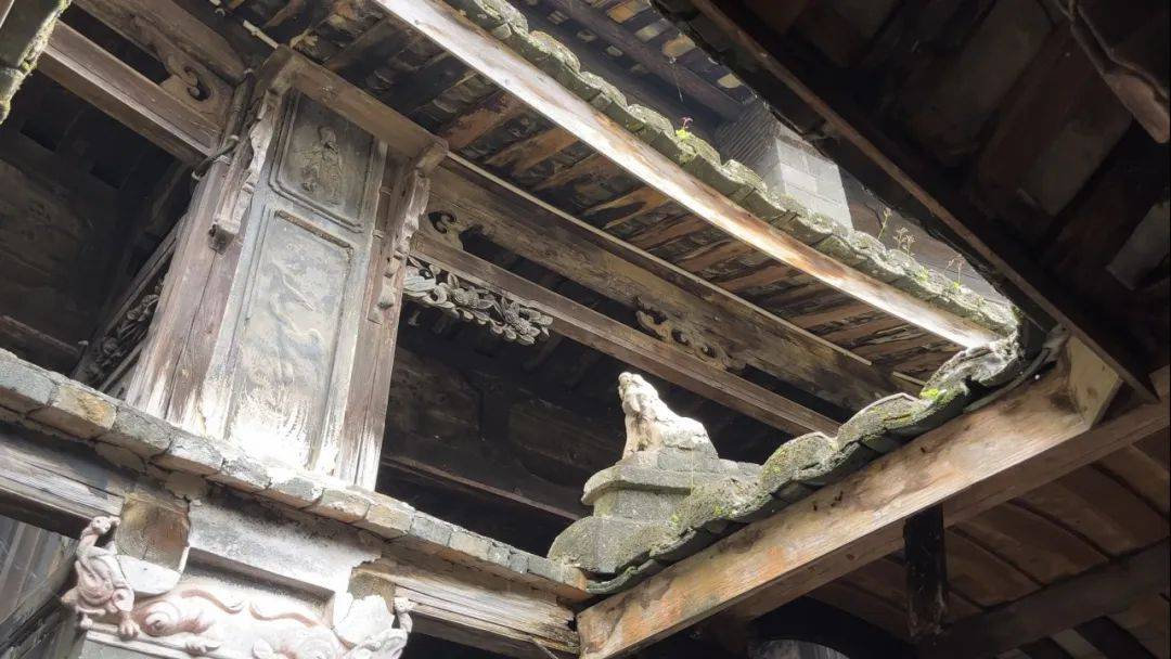 平和景区新春行：赏景祈福欢乐多
