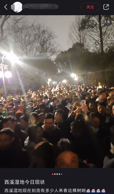 元宵节：西溪湿地赏灯人潮涌动，正月十五元宵节：西溪湿地赏灯盛景