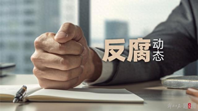2月24日重磅消息：两“虎”被处理的深度解读，同日两“虎”被处理：曹兴信与谭瑞松的落马之路
