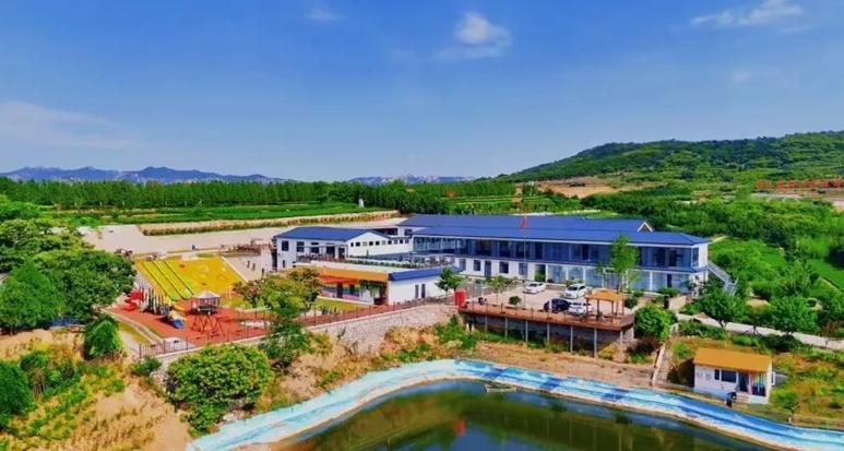 日照农村生态环境治理：全方位推进，成效显著，日照农村：多管齐下，生态环境治理成效佳