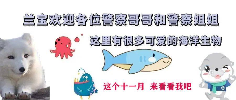 兰州极地海洋世界感恩城市守护者，免费游览等你来 兰州极地海洋世界向城市守护者免费开放