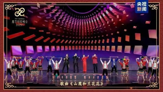 总台2025春晚：收视率背后的多元亮点，2025年春晚：各地收视佳绩与南方元素闪耀