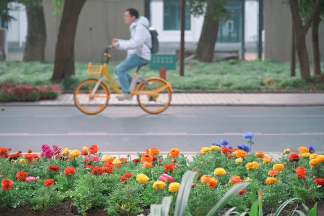 开学啦！校园里的青春画卷，2025开学日：校园生活的新开始