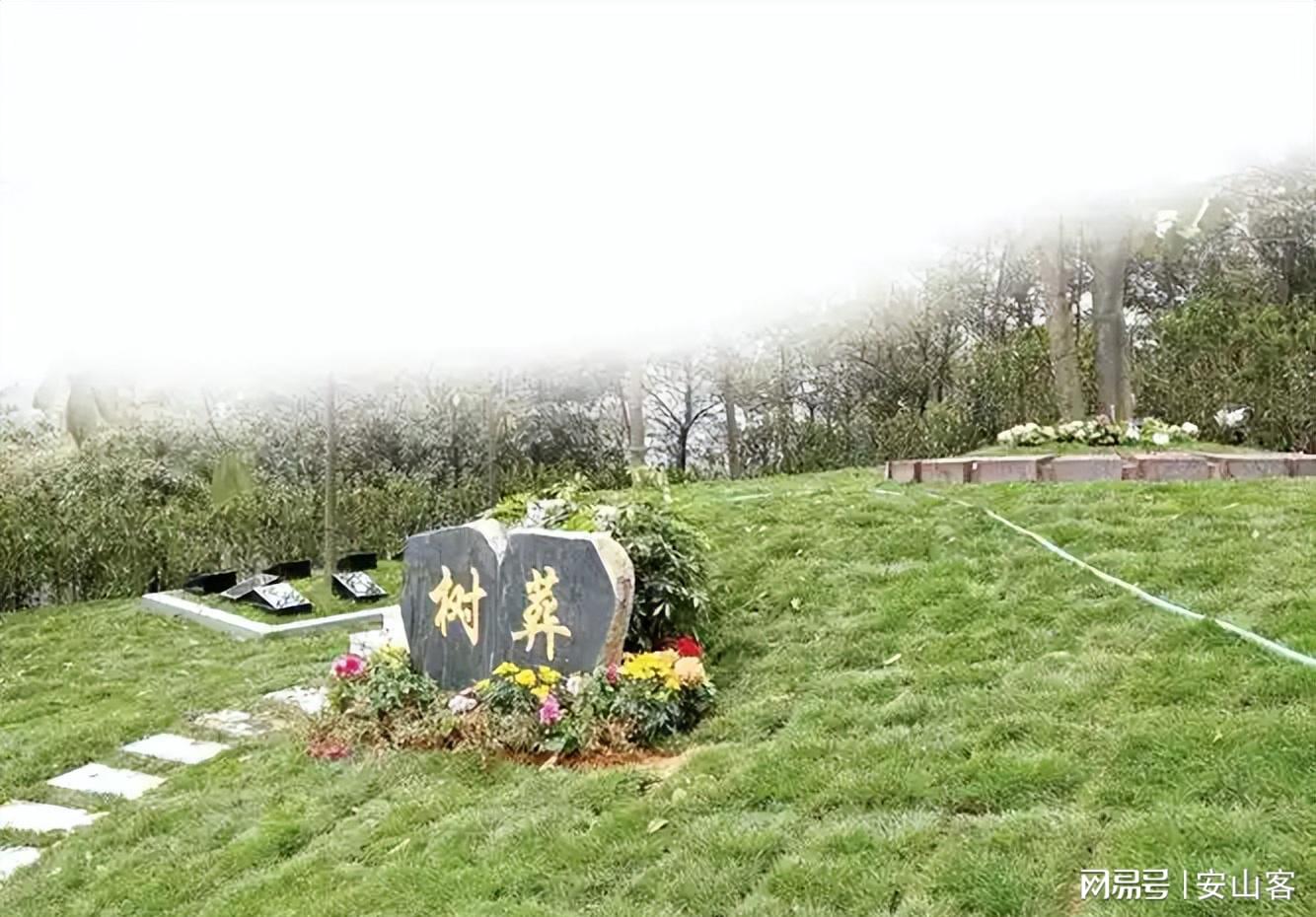 大S树葬：不为人知的难处与家人的不舍