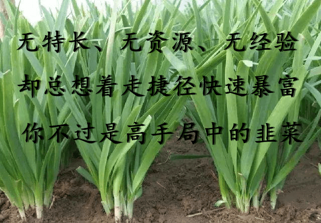 美容院经营之殇：你是否也在被割韭菜？，美容院经营：别让盲目投资和不懂经营毁了你的店