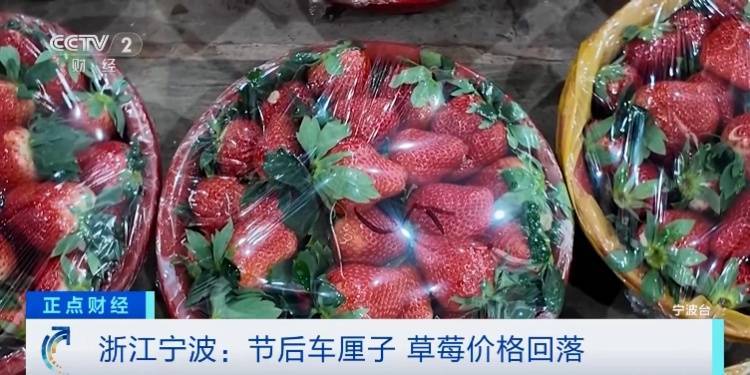 车厘子和草莓价格跳水，宁波果品市场新动态，浙江宁波：春节后车厘子和草莓价格走低