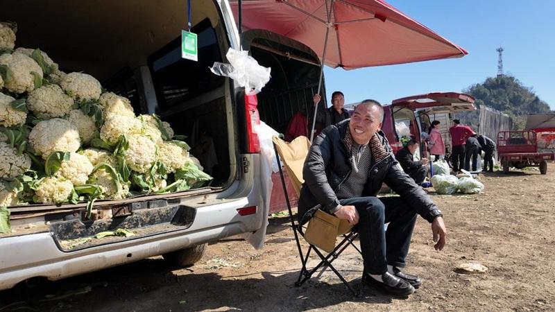 王久付：从烤烟到花菜，土地上的收获之旅，烟农王久付的多元种植致富路