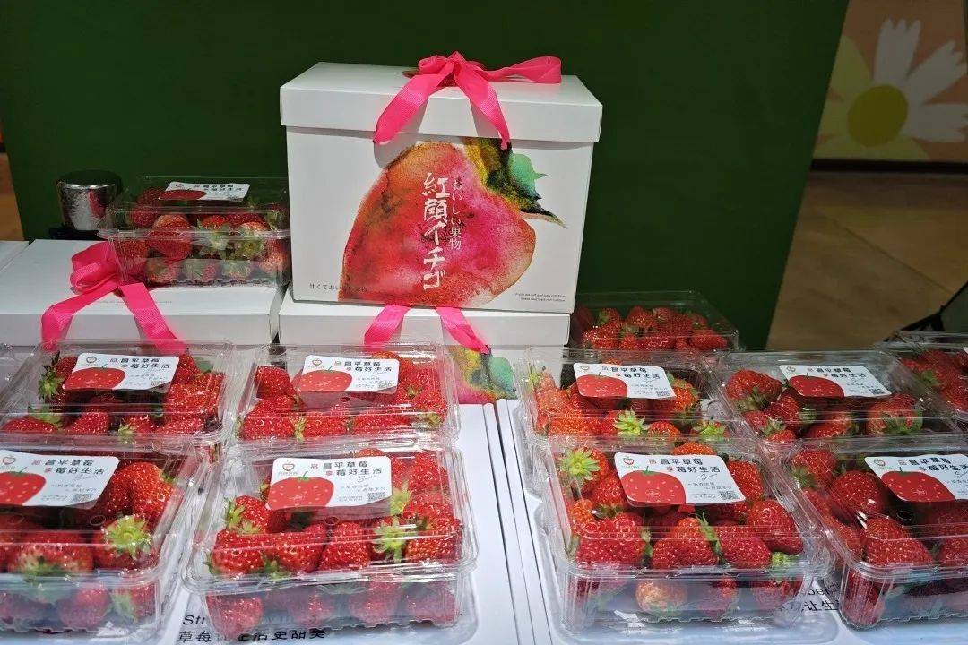 草莓大集：多种精彩活动等你参与，草莓大集：一站式趣味体验之旅